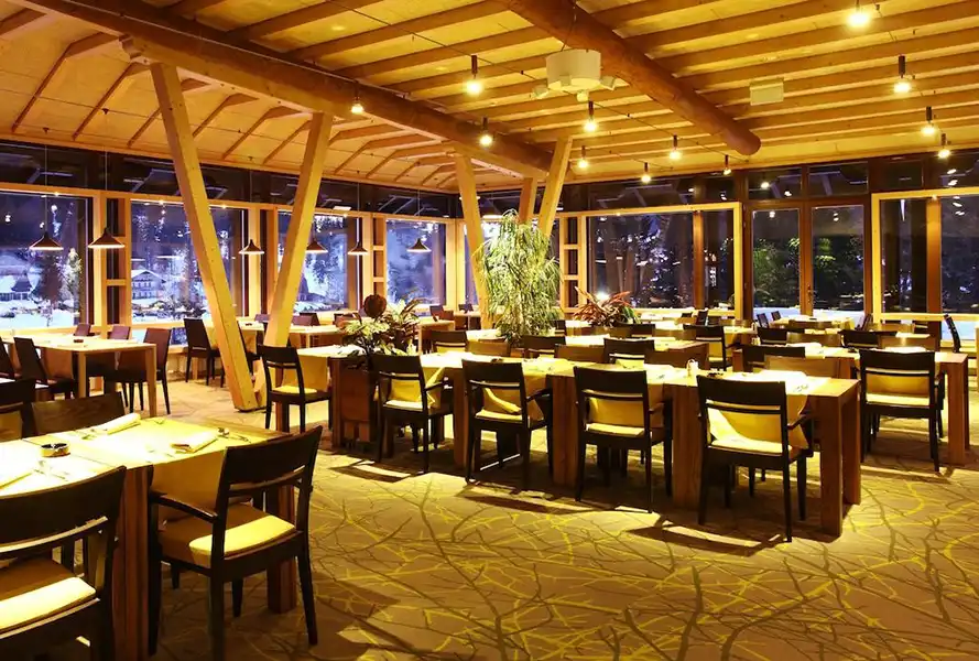 hotel termag jahorina zima08