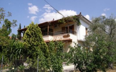 Vila Olympion Kala Nera Pilion