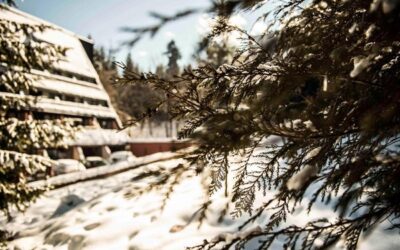 Hotel Mura Borovec 4*