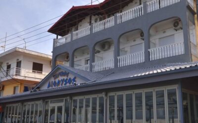 Hotel Dionisos Nei Pori