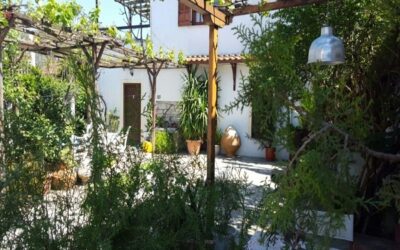 Vila Delfini Milina Pilion