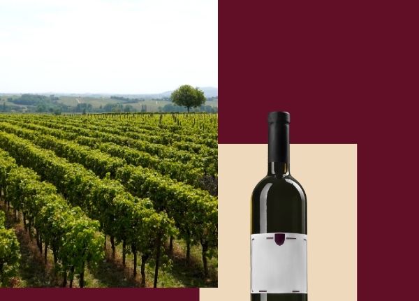 Banat naša priča – jednodnevni izlet